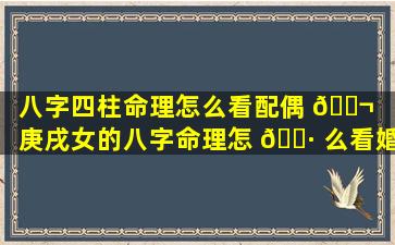 八字四柱命理怎么看配偶 🐬 （庚戌女的八字命理怎 🌷 么看婚姻）